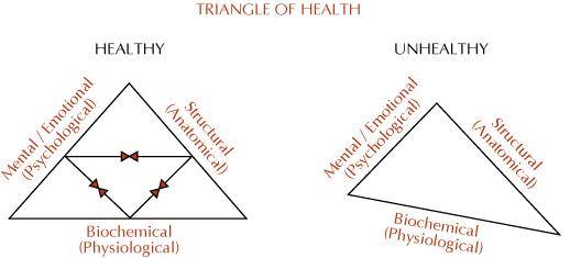 Triangle of Health Jul2014